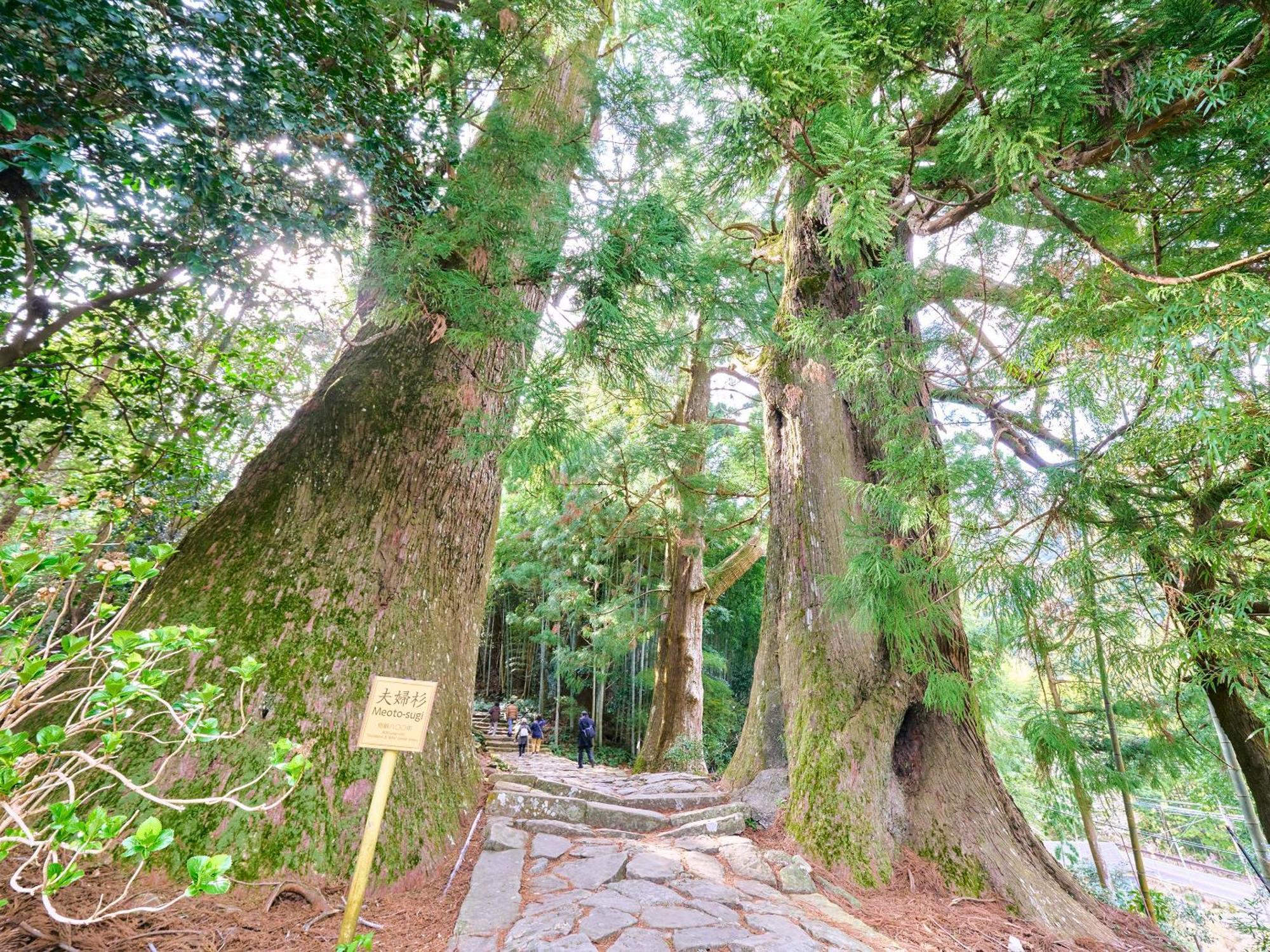 Kokoyui Guest House Nachikatsuura Eksteriør bilde